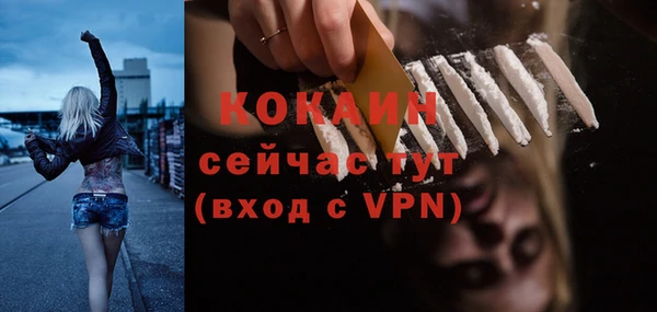 PSILOCYBIN Белокуриха