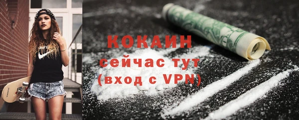 PSILOCYBIN Белокуриха