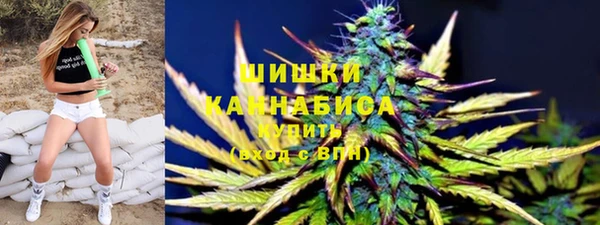PSILOCYBIN Белокуриха