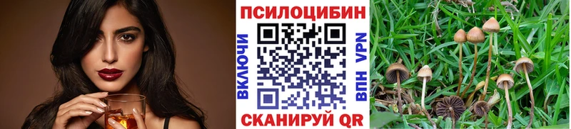 Галлюциногенные грибы мицелий  kraken как зайти  Кумертау 